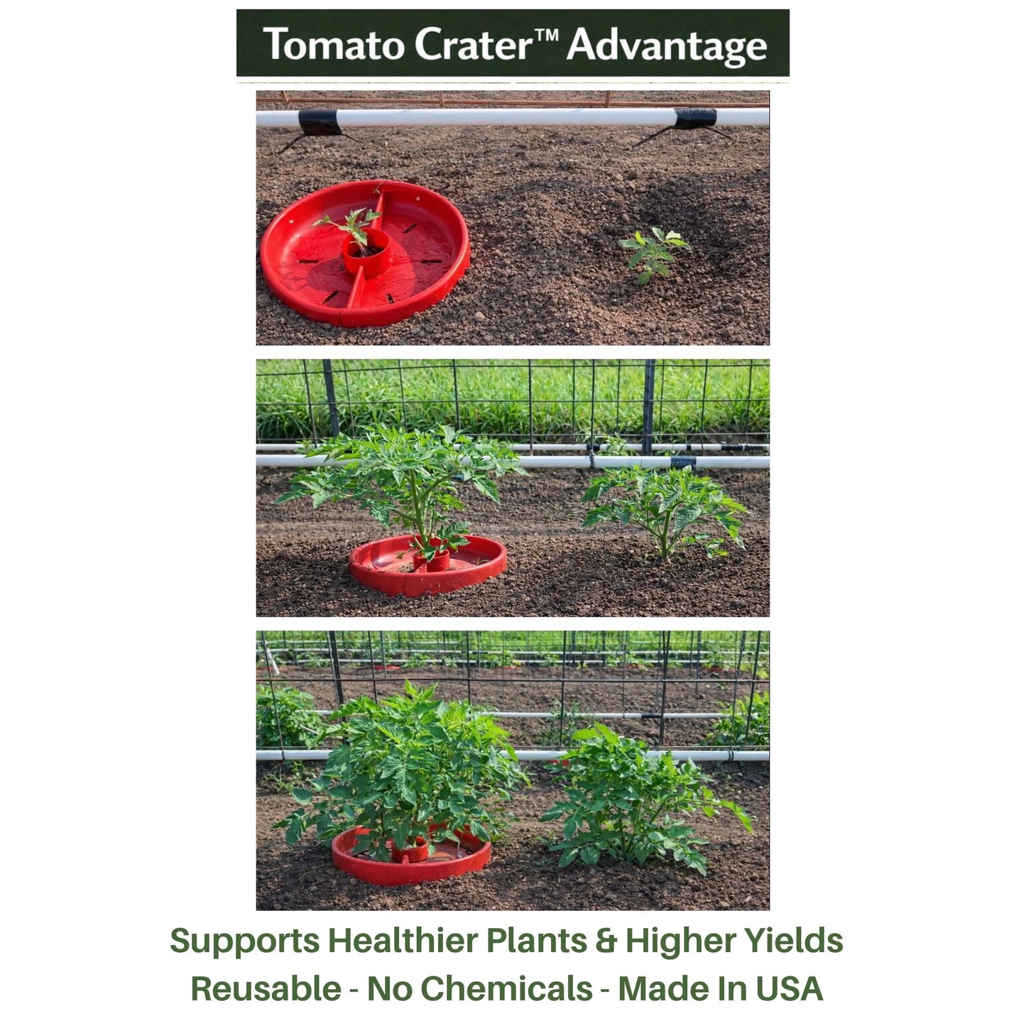 Red Tomato Crater with tomato plants growing around it in a garden setting, labeled 'Tomato Crater Advantage'.